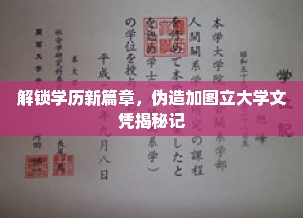 伪造学历大揭秘，揭秘加图立大学文凭背后的秘密世界