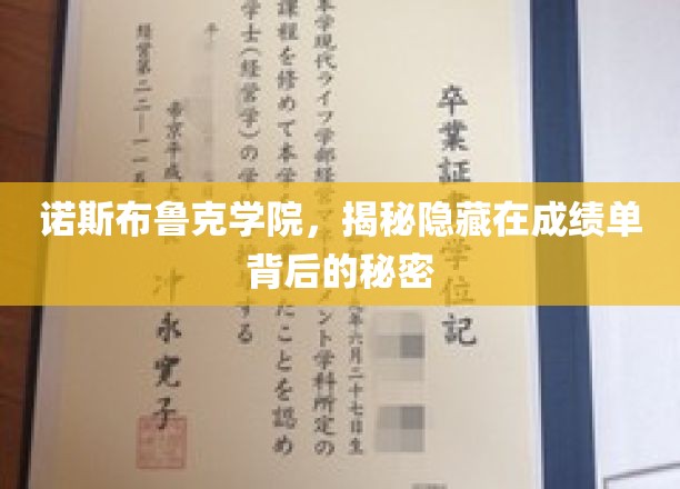 揭开诺斯布鲁克学院成绩单背后的神秘面纱