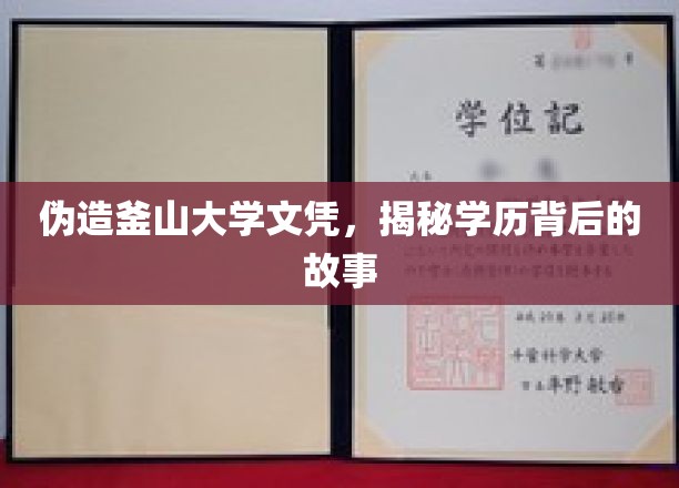 伪造釜山大学文凭揭秘：学历背后的故事