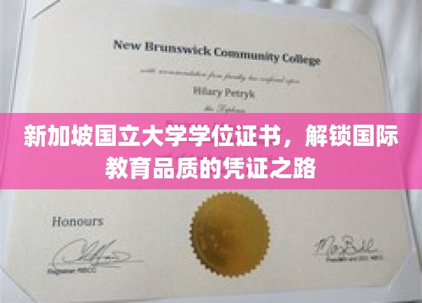新加坡国立大学学位，通往全球教育殿堂的荣耀通行证