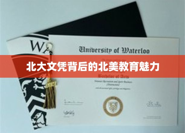 北大光环下的北美教育风采揭秘