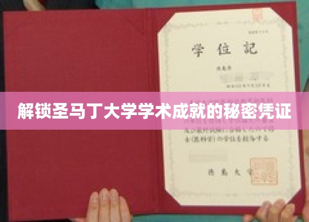 探寻圣马丁大学卓越学术的神秘钥匙