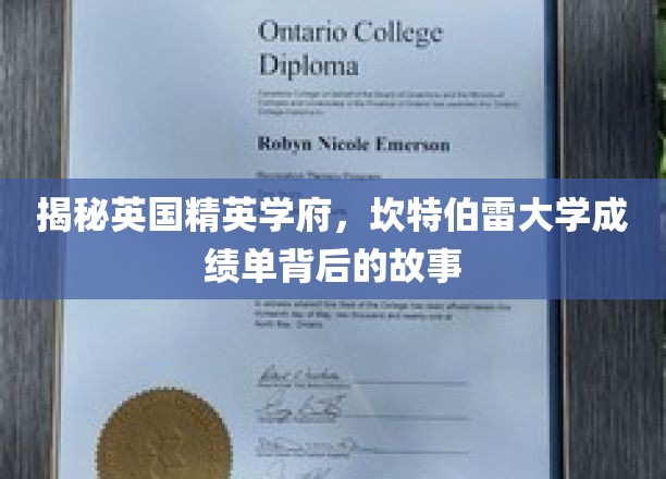解码精英摇篮，坎特伯雷大学成绩单里的不为人知
