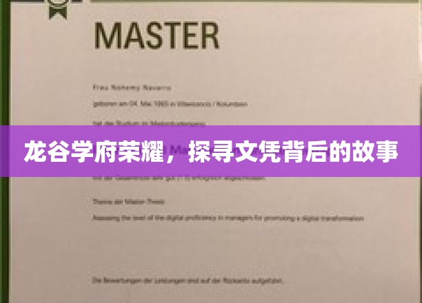 龙谷荣耀揭秘，文凭背后的传奇之旅