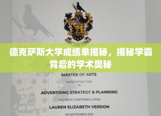 解码德克萨斯学霸，揭秘顶尖学术成就的秘密武器