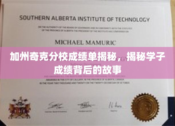 加州奇克分校成绩单背后的秘密学途探秘
