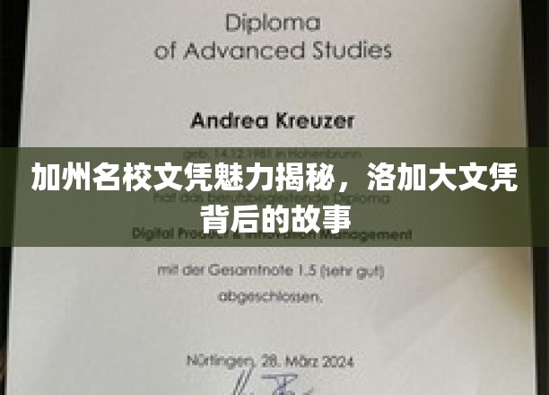 解码加州精英教育，洛加大文凭背后的不为人知魅力