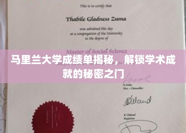 解锁马里兰大学学术奥秘，成绩单背后的精彩故事