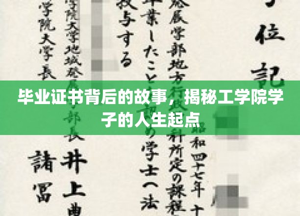 毕业证书背后的故事，揭秘工学院学子的人生起点