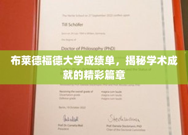 布莱德福德大学成绩单，揭秘学术成就的精彩篇章