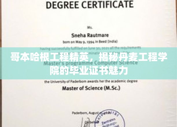 哥本哈根工程精英，探寻丹麦工程学院毕业证书的非凡魅力