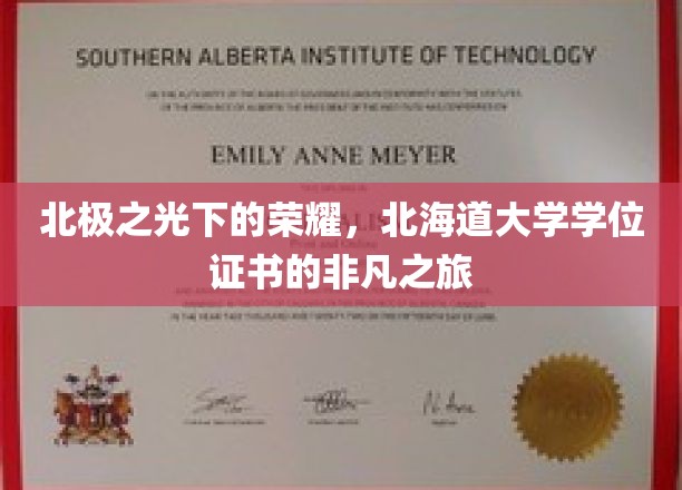 北极之光下的荣耀，北海道大学学位证书的非凡之旅