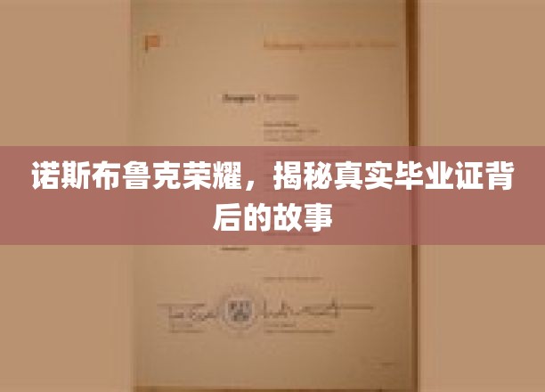 诺斯布鲁克荣耀，探寻毕业证背后的非凡传奇