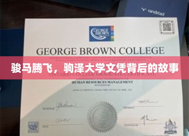 骏马跃动，揭秘驹泽大学文凭的传奇历程