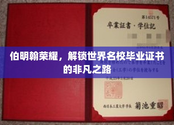 伯明翰之光，探寻名校证书背后的非凡成长之旅