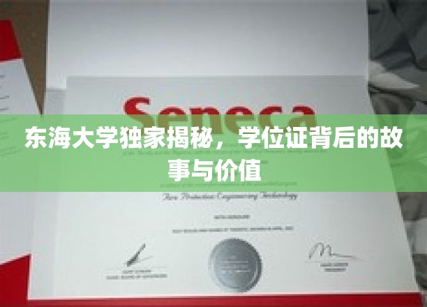 东海学位证，揭开学历背后的传奇与价值