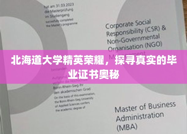 北海道大学精英荣耀，揭秘真实的毕业证书内涵