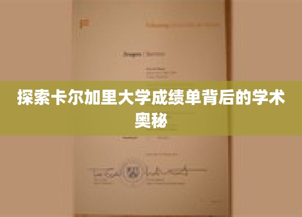 探索卡尔加里大学成绩单背后的学术奥秘