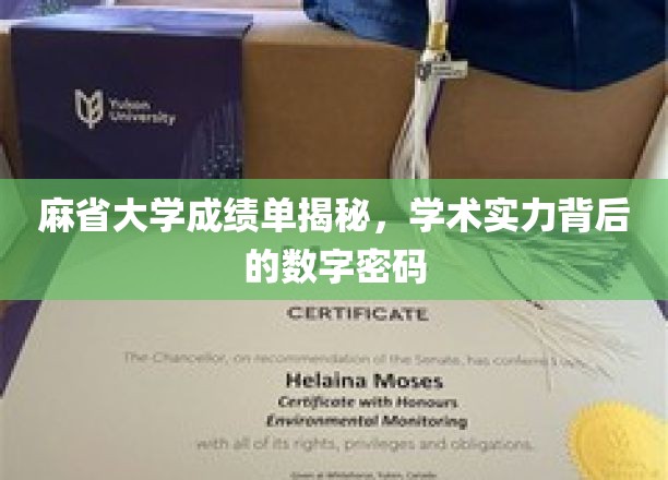 麻省大学成绩单揭秘，揭示学术实力背后的数字密码