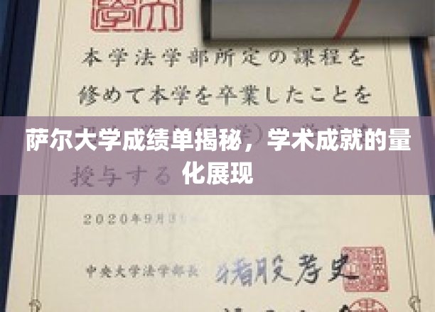 探寻萨尔大学成绩单背后的学术荣耀，量化成就的全面解读