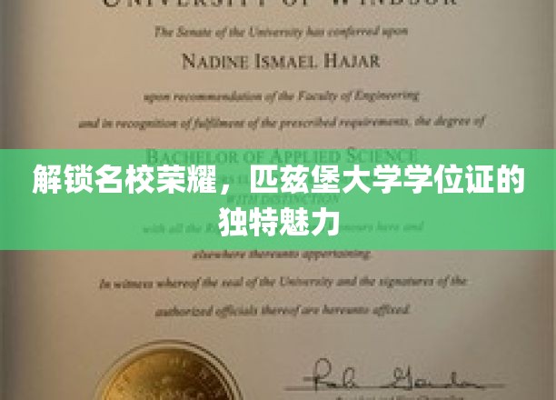 解锁名校荣耀，匹兹堡大学学位证的独特魅力