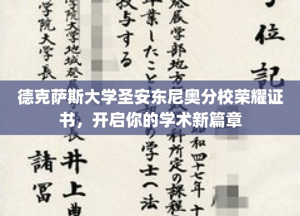 德克萨斯大学圣安东尼奥分校荣耀证书，开启你的学术新篇章