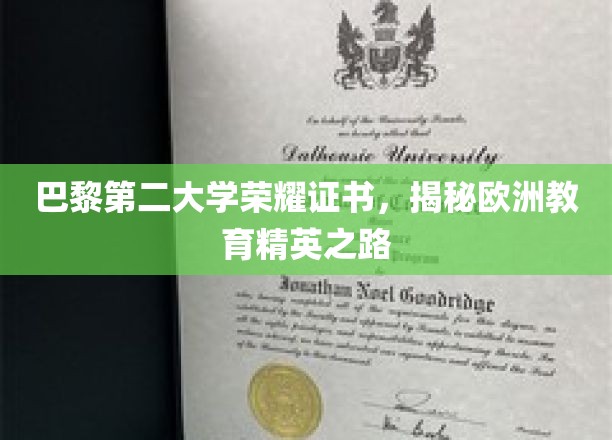 欧洲精英摇篮，巴黎第二大学荣耀证书背后的故事