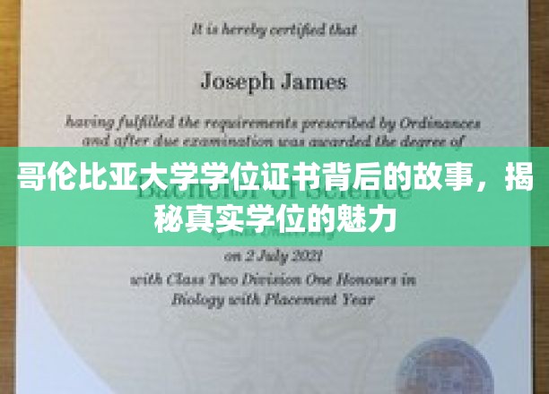 哥伦比亚大学学位证书，探寻证书背后的传奇与真实价值