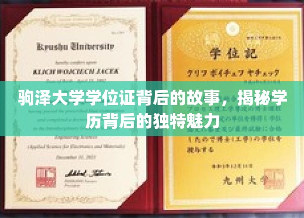驹泽大学学位证，探寻学历背后的传奇色彩