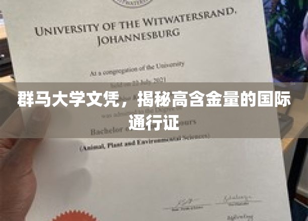 群马大学文凭，解锁全球认可的精英通行证