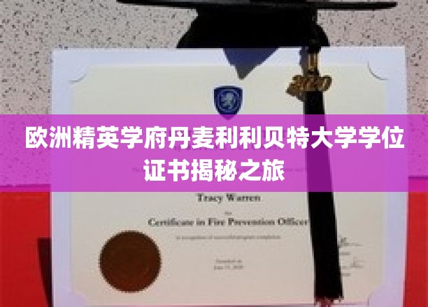 揭开丹麦利利贝特大学精英学位证书的神秘面纱