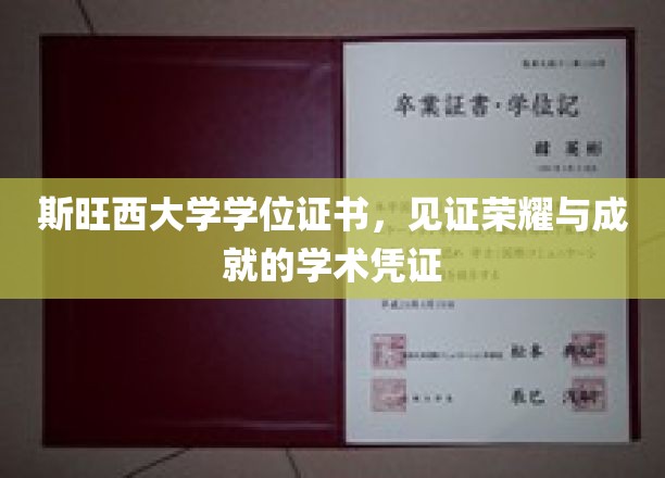 学位荣耀，斯旺西大学证书映照学术辉煌