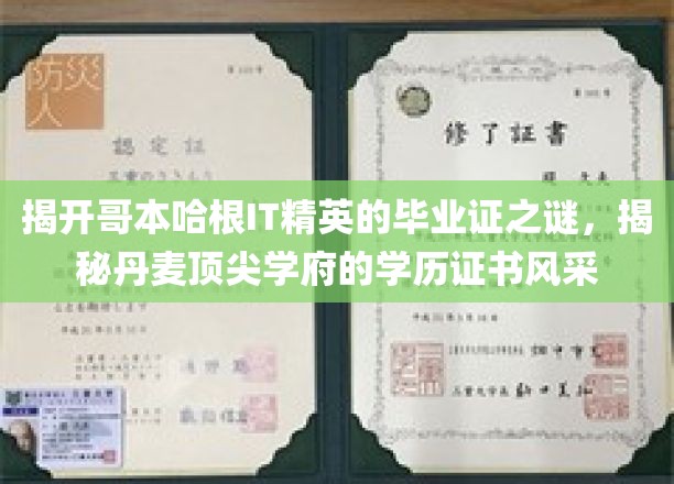 解码哥本哈根IT精英学历凭证，探寻丹麦高等学府证书魅力