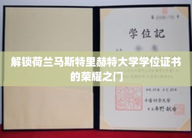 揭开荷兰马斯特里赫特大学学位证书的荣耀面纱