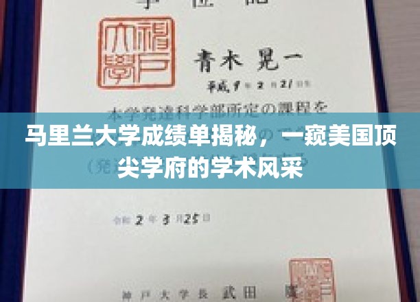 马里兰大学成绩单曝光，揭秘美国一流大学的学术魅力