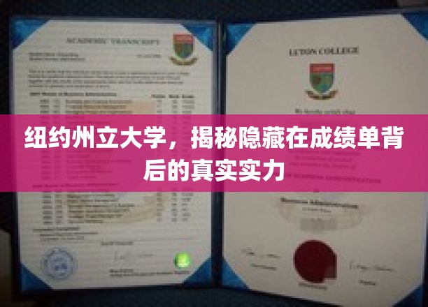 揭开纽约州立大学成绩单背后的卓越潜能