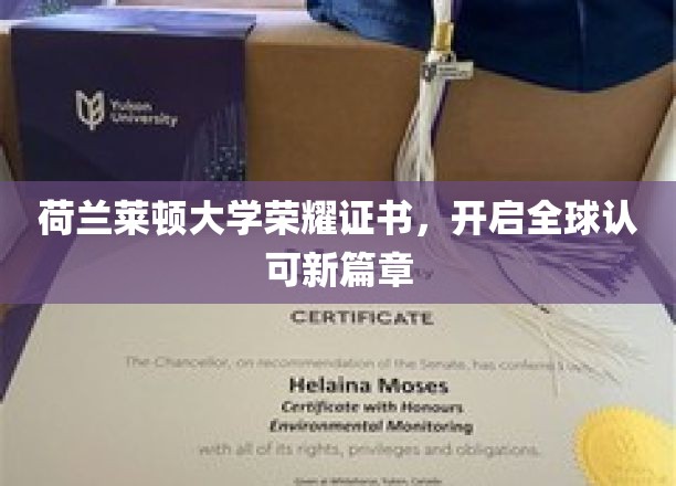 荷兰莱顿大学荣耀证书，开启全球认可新篇章