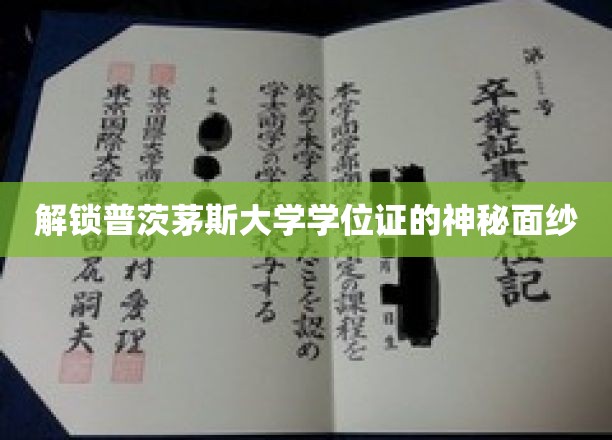 揭秘普茨茅斯大学学位证书背后的秘密世界