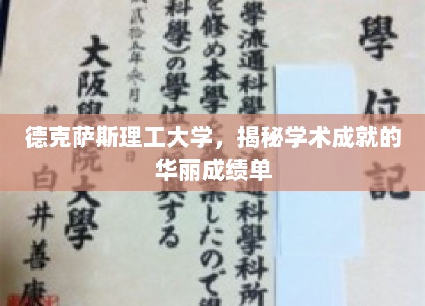 德克萨斯理工大学，闪耀学术巅峰的卓越成就榜