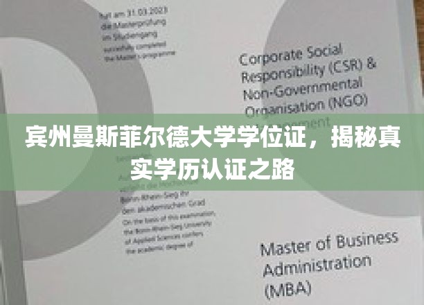 探寻宾州曼斯菲尔德大学学位证的奥秘，揭秘学历认证的非凡旅程