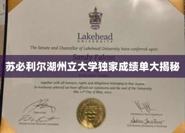 苏必利尔湖州立大学成绩单背后的秘密曝光！