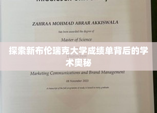 解码新布伦瑞克大学成绩单，探寻学术成就的秘密线索