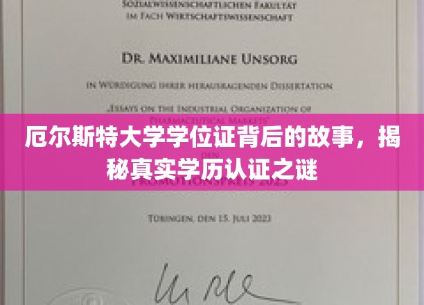 探寻厄尔斯特大学学位证，学历认证背后的真实奥秘