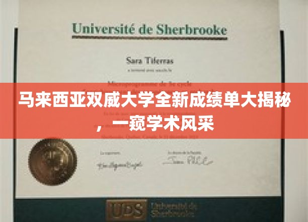 马来西亚双威大学全新成绩单大揭秘，一窥学术风采