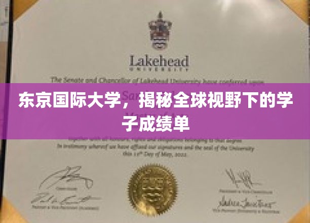 东京国际大学风采，一窥全球学子卓越成绩背后的故事