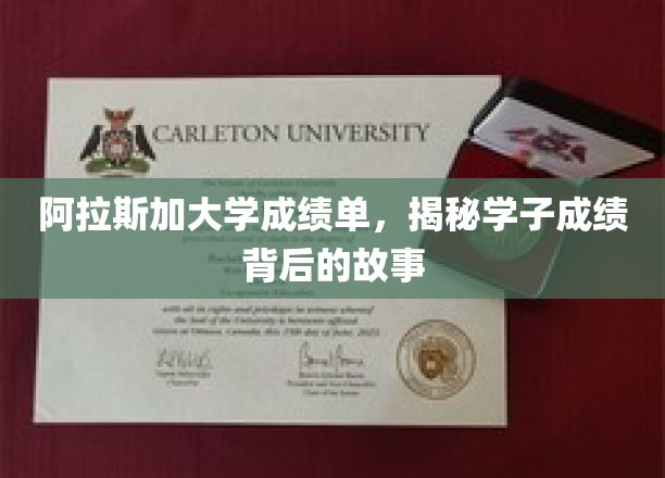 阿拉斯加大学成绩单，揭秘学子成绩背后的故事