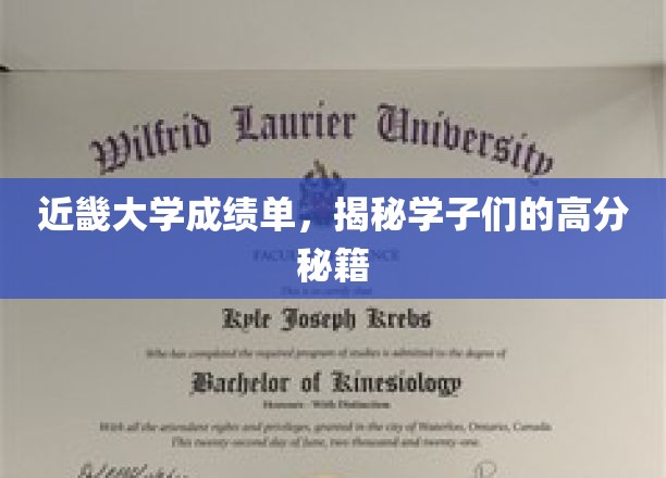 近畿大学学霸秘录，揭秘高分学子的独门学习法