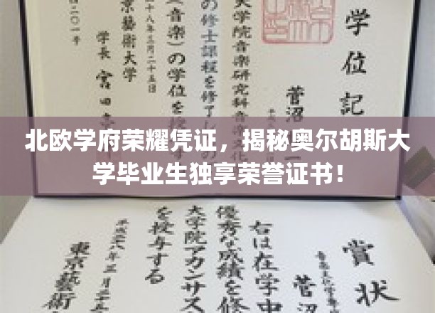 北欧精英毕业证揭秘，奥尔胡斯大学独门荣誉证书大揭秘！