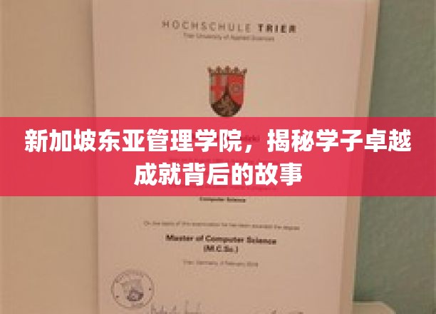 新加坡东亚管理学院，揭秘学子卓越成就背后的故事