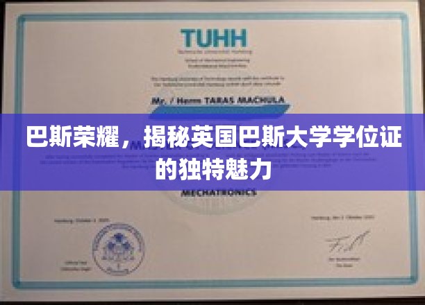巴斯荣耀，揭示英国巴斯大学学位证的独特魅力